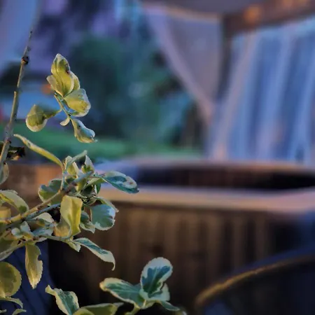 Brvnara Majstorovic Holiday home *