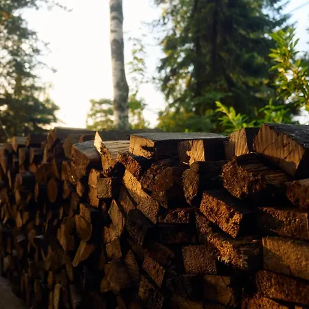 Brvnara Majstorovic Holiday home *