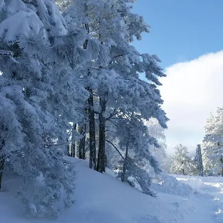 Holiday home Brvnara Majstorovic