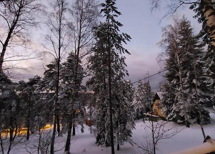 Brvnara Majstorovic *