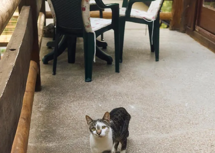 Vakantiehuis Brvnara Majstorovic Divčibare