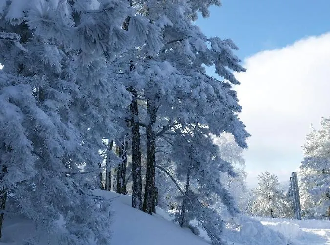 Nyaraló Brvnara Majstorovic
